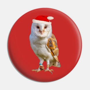 Christmas Barn Owl Pin