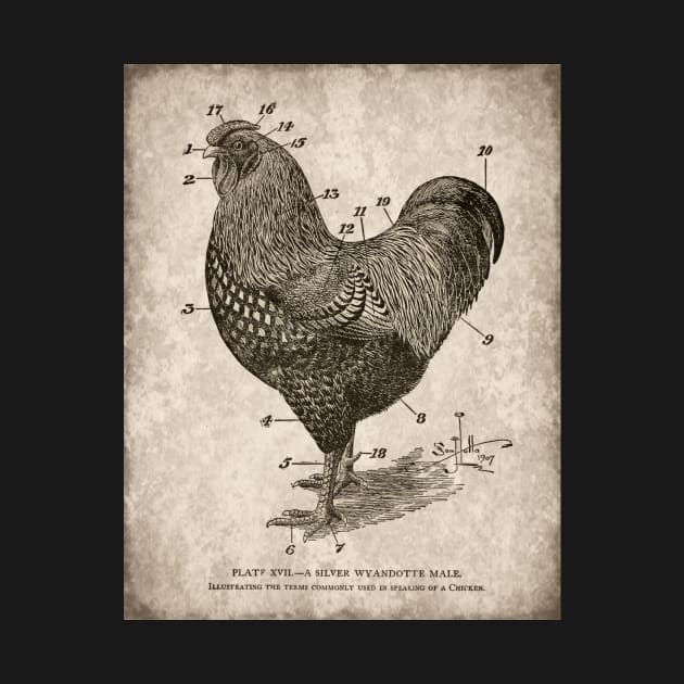 Vintage Chicken, Silver Wyandotte by DownThePath