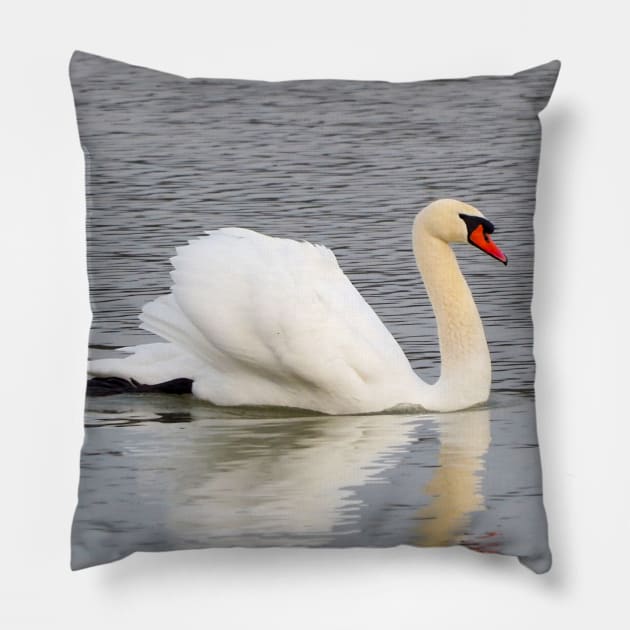 Mute Swan Swimming In The Water Pillow by BackyardBirder