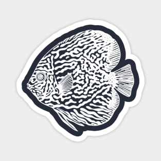 Discus Fish or Pompadour Fish - animal ink drawing Magnet