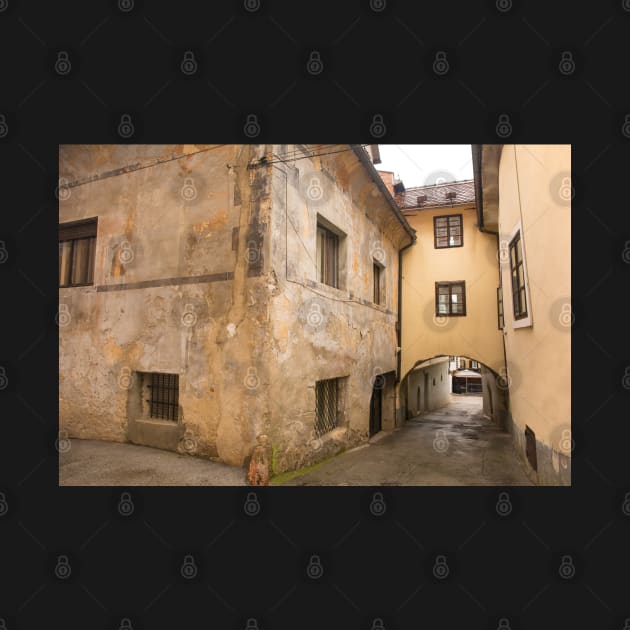 Historic Street in Skofja Loka, Slovenia by jojobob