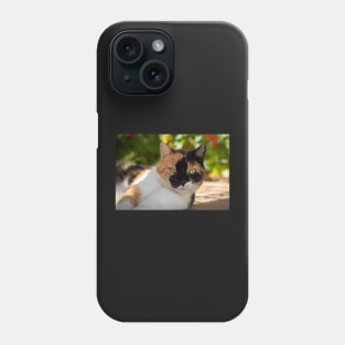 Cat is basking Phone Case