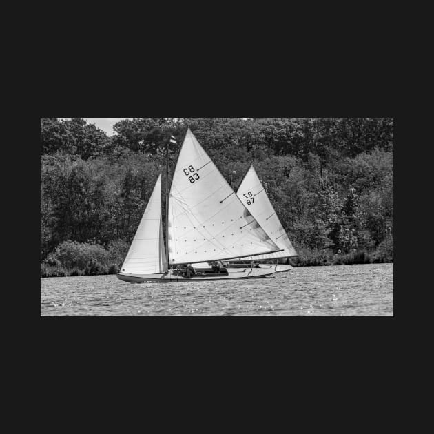 Brown boats going head to head on Wroxham Broad, Norfolk by yackers1