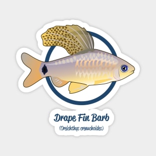 Drape Fin Barb Magnet