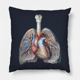 Vintage Science and Human Anatomy with Lungs, Heart, Organs and Blood Vessels Pillow