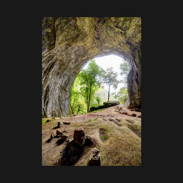 Inside view from Meziad cave in Apuseni mountains by naturalis