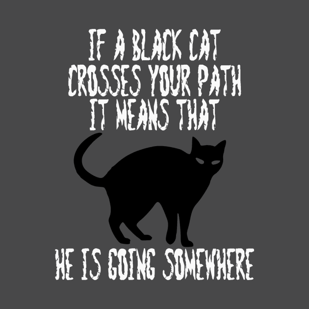 If a Black Cat Crosses Your Path It Means That He Is Going Somewhere by DANPUBLIC