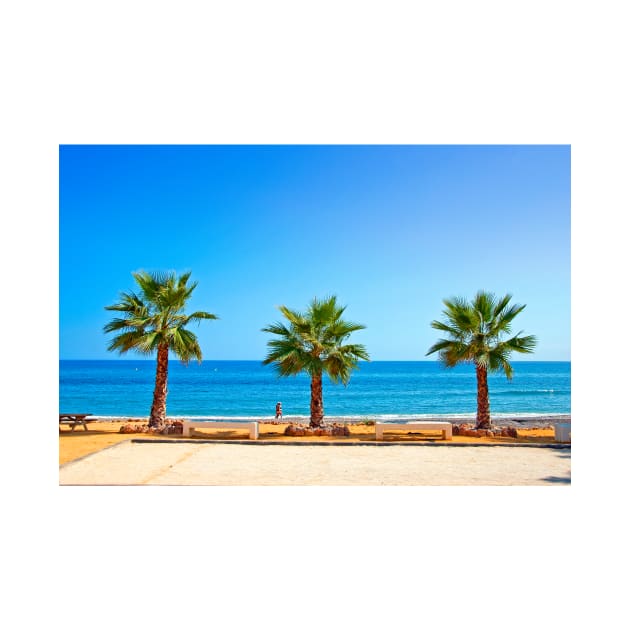 Palm trees Torrox Costa Del Sol Andalusia Costa Spain by AndyEvansPhotos