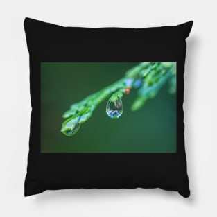 waterdrop Pillow