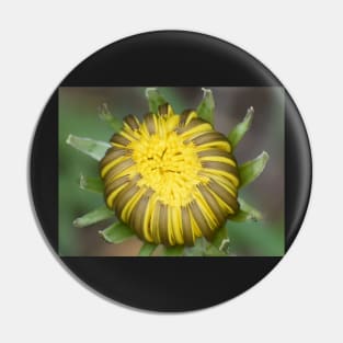 Dandelion Pin