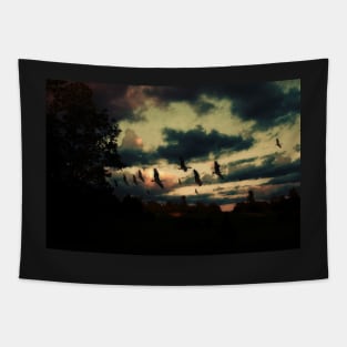 Sunset silhouette Tapestry