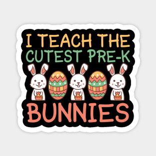 I Teach The Cutest Pre-k Bunnies Magnet