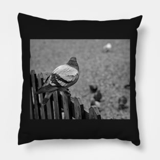 On the fence Pillow