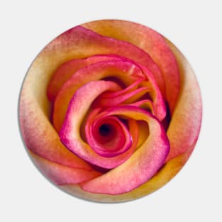 Pink Rose Pin