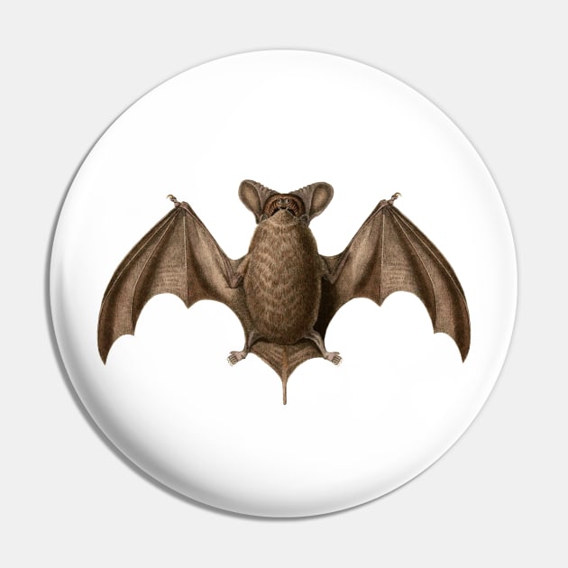 Austin Bat Pin by EvilTees