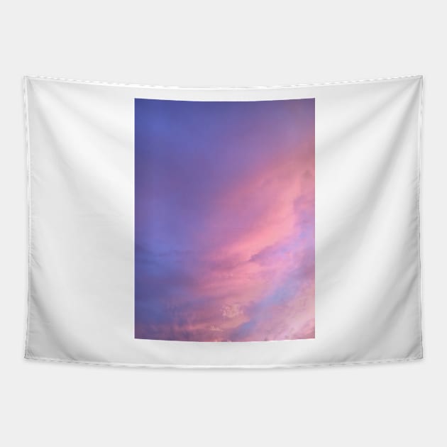 Pastel Pink, Purple Sunset Sky Tapestry by BloomingDiaries