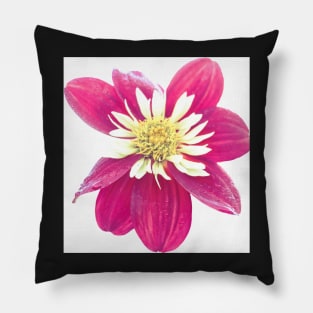 Dahlia Flower 2 Pillow