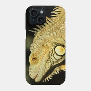 Closeup of a Green Iguana Phone Case