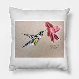 Ruby Throated Hummingbird Pillow