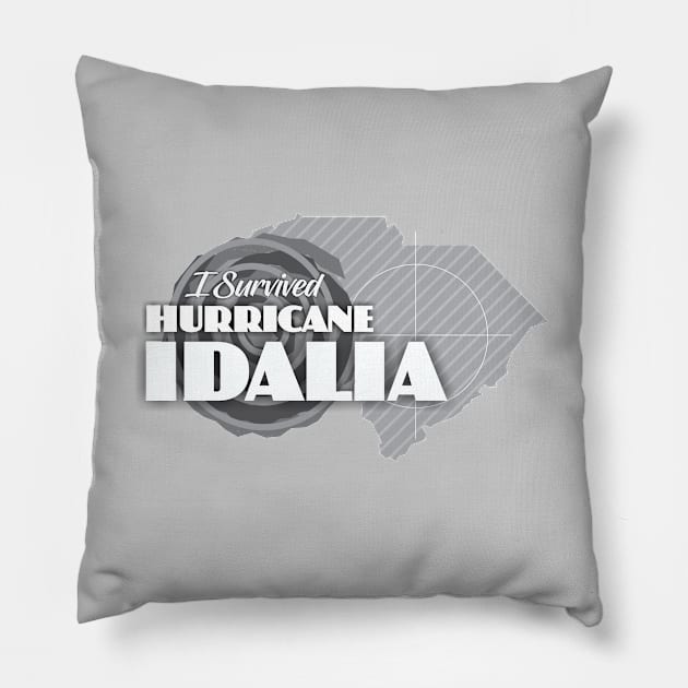 I Survived Hurricane Idalia Pillow by Dale Preston Design