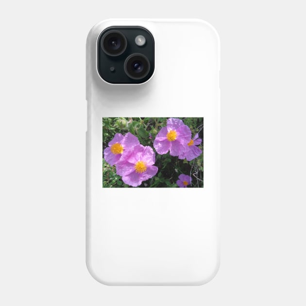 Wild Mountain Cistus Phone Case by aeolia