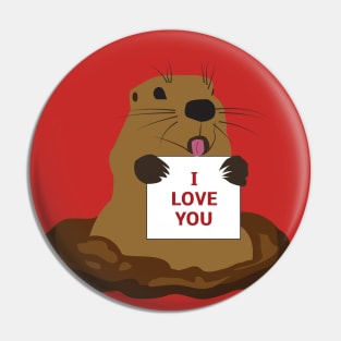 I love you Pin