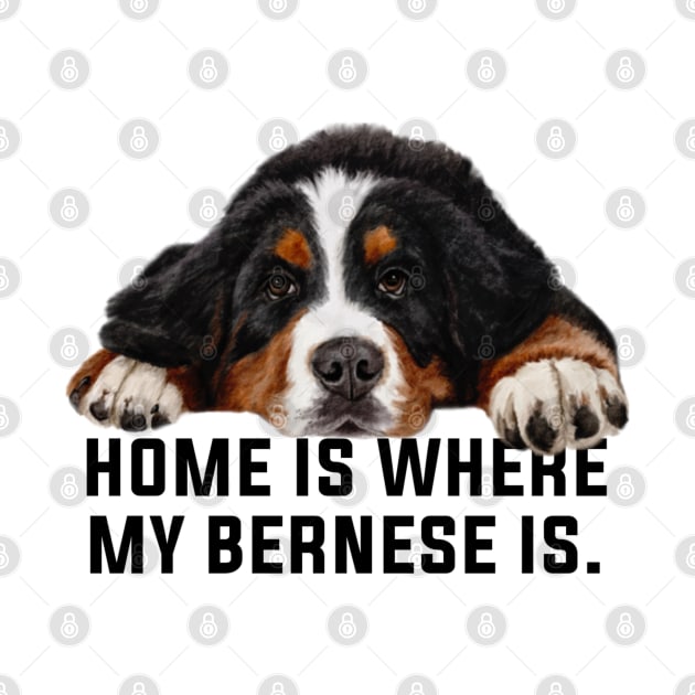 Bernese mountain dog by Bernesemountaindogstuff