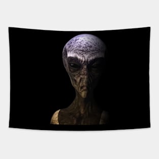 Alien Grey Tapestry