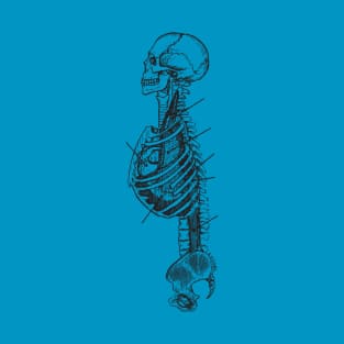 Skeleton anatomy T-Shirt