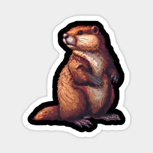 16-Bit Beaver Magnet