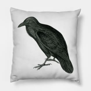 Raven Pillow