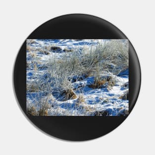 Snow Crust Pin