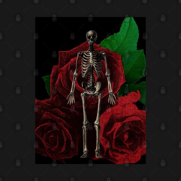 Human anatomy and roses: skeleton by kourai