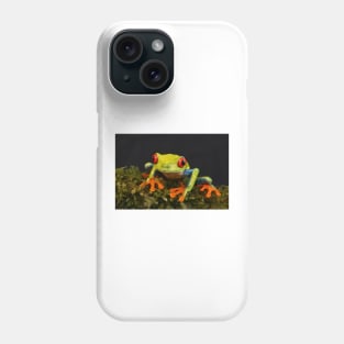 Red-eyed Tree Frog - Costa Rica Phone Case