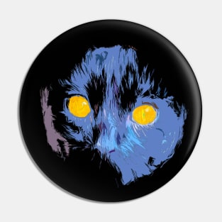 black cat regard Pin