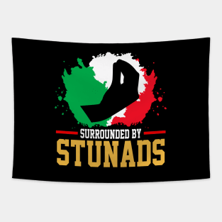 Surrounded By Stunads Hand Gesture Funny Italian Meme, funny Italian Phrases Gift Tapestry