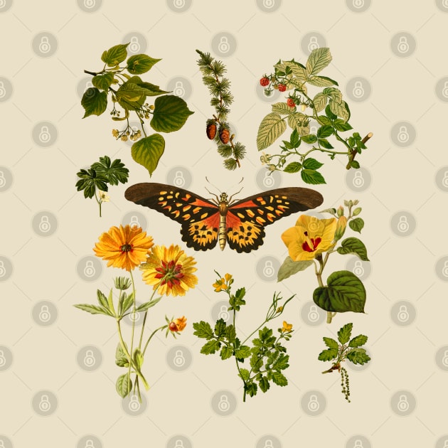 Cottagecore Vintage Plants and Butterfly by Souls.Print
