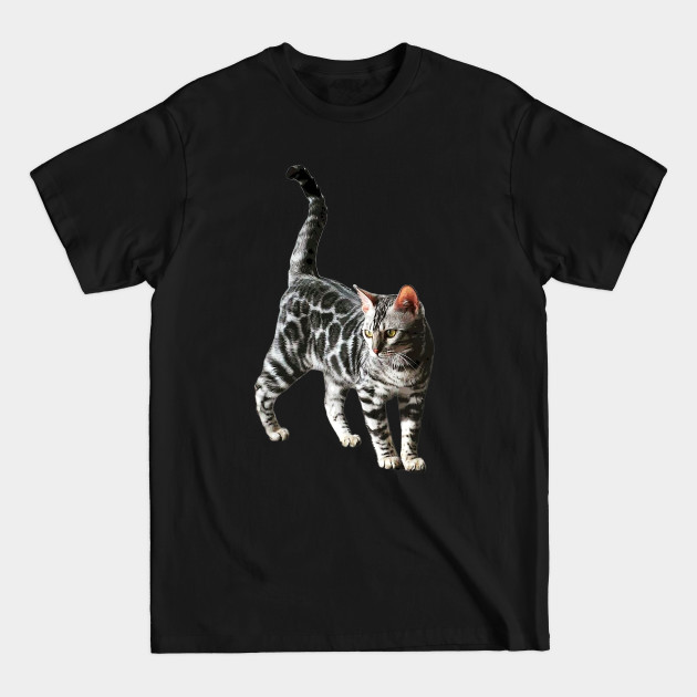 Disover Bengal Cat Silver Spotted Leopard Kitten - Bengal Cat - T-Shirt