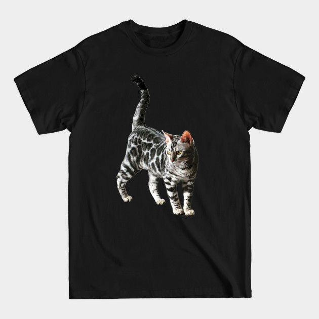 Discover Bengal Cat Silver Spotted Leopard Kitten - Bengal Cat - T-Shirt