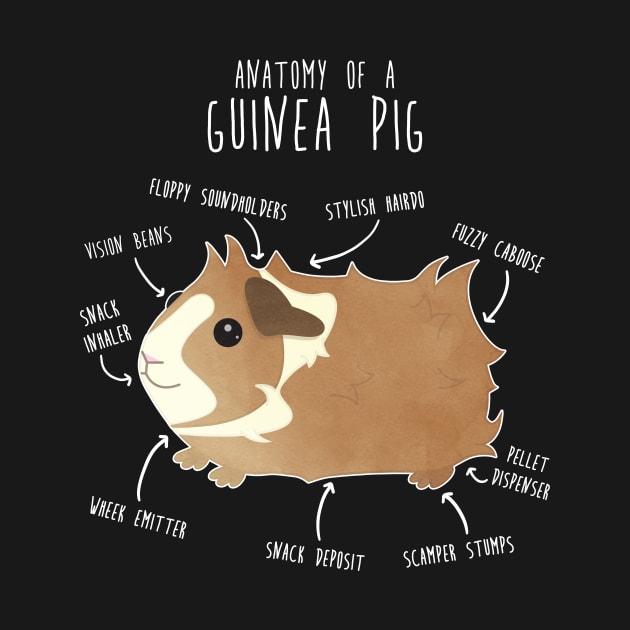 Abyssinian Guinea Pig Anatomy by Psitta