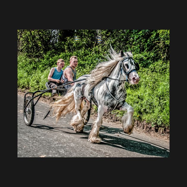 Trotting on Flash lane by Tarrby