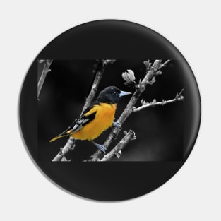 Baltimore Oriole Pin