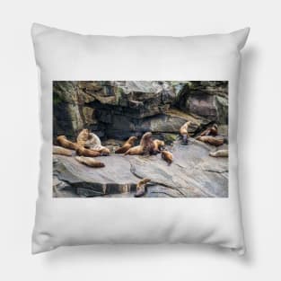 Steller Sea Lion Pillow