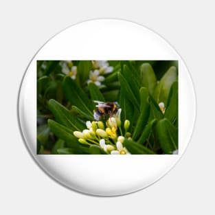 A Bee Gathering Nectar Pin