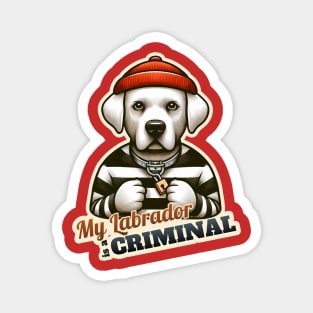Criminal Labrador Magnet