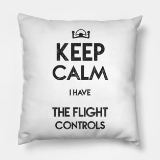 Airplane Pilot - I have the Flight Controls Pillow