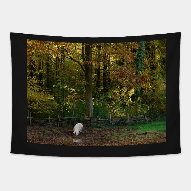 Pig Heaven Tapestry by RJDowns