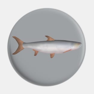 Giant Salmon Carp Pin