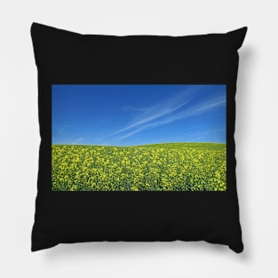 Canola Fields under a Prairie Sky Pillow