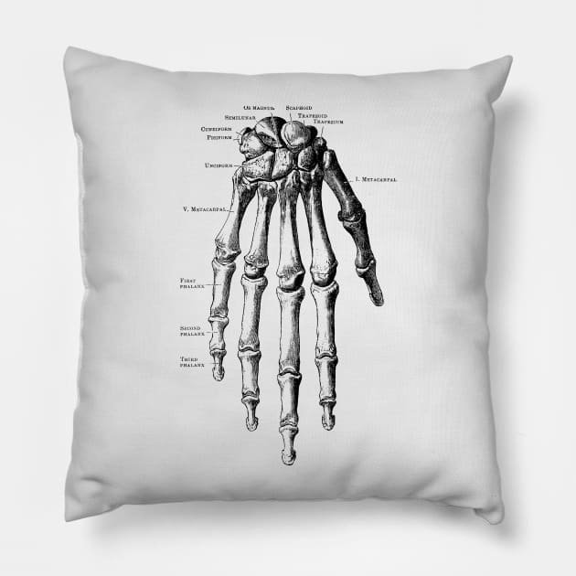 Down Facing Hand Skeletal Diagram Pillow by Vintage Anatomy Prints